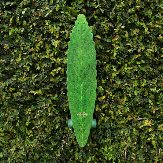 Habitat Leaf Line Longboard available Now