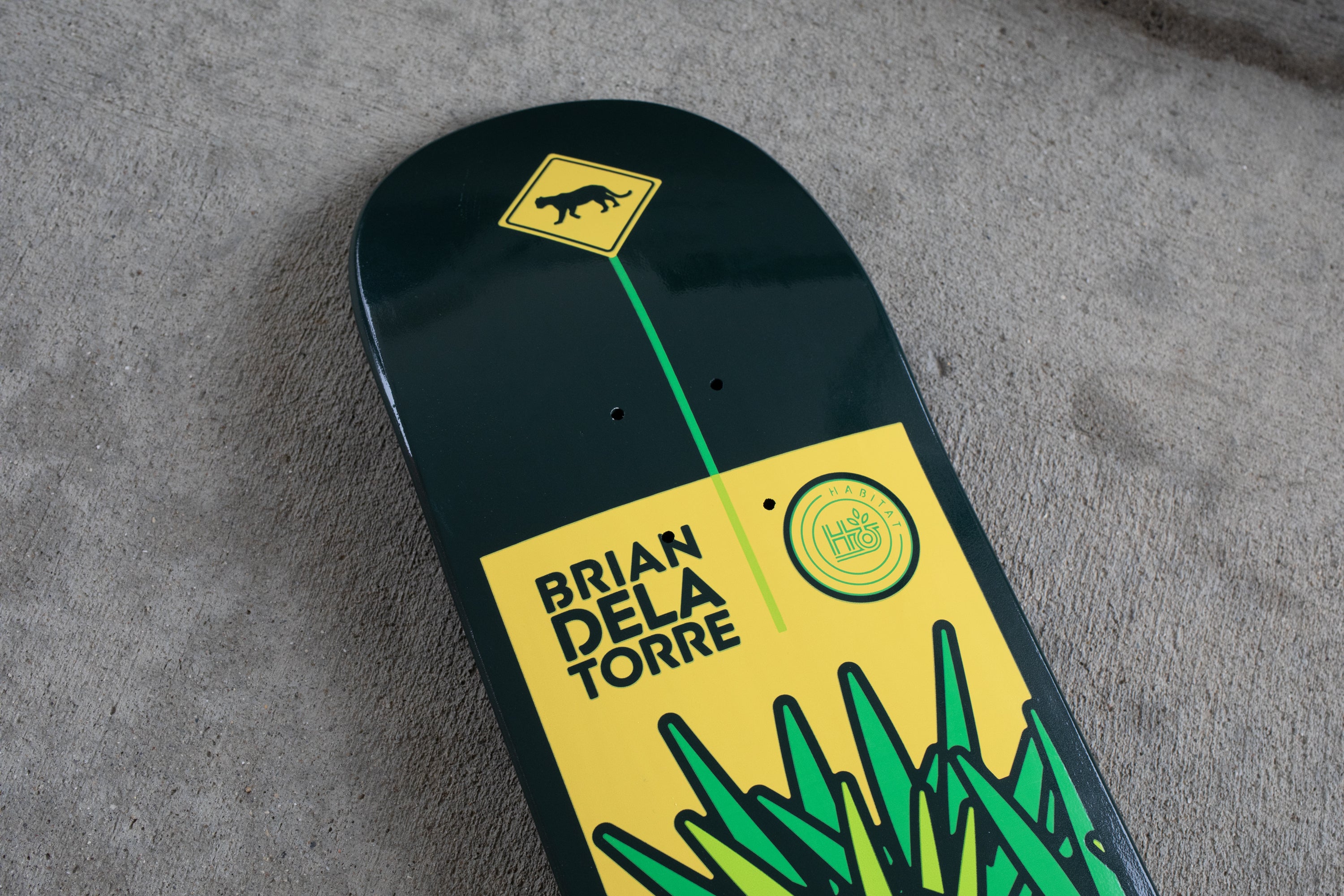 Delatorre 'Panther Crossing' [8